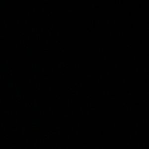 Meet your Posher, Levi